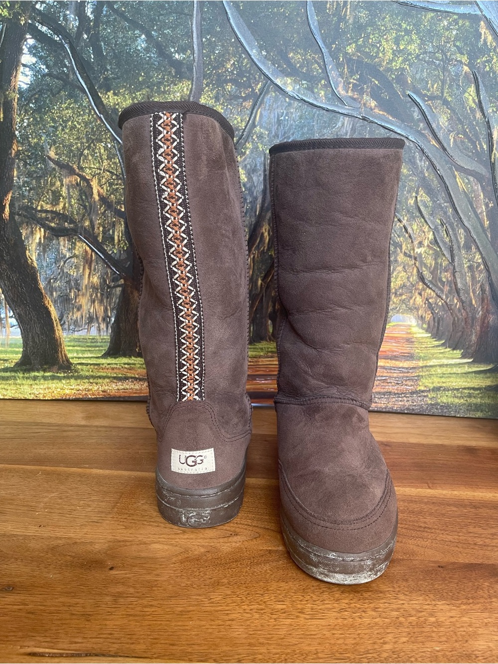 UGG Women's Dark Brown Suede Mid-Calf Boots with Decorative Stitching 9